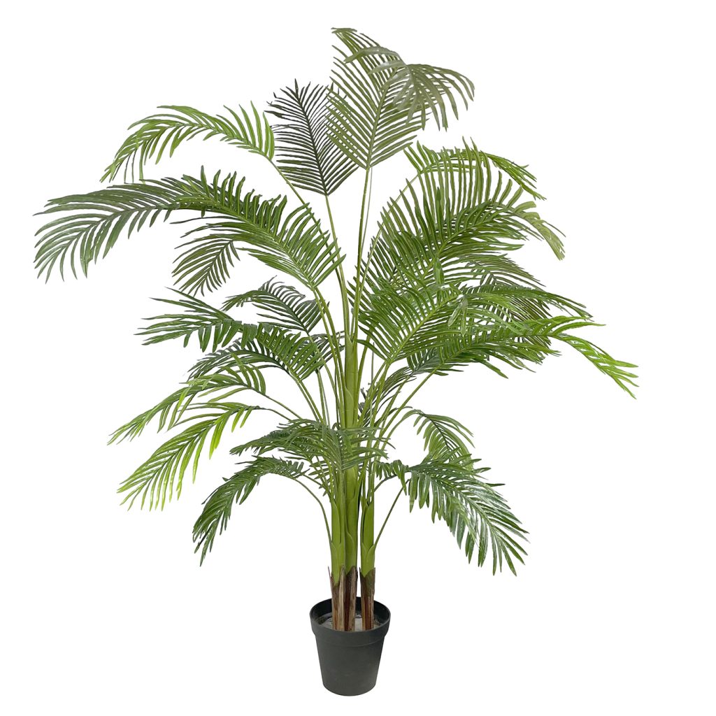 artificial paradise palm with white backdrop