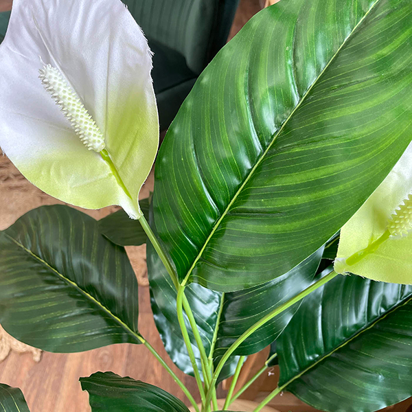 large artificial peace lily close up of foliage
