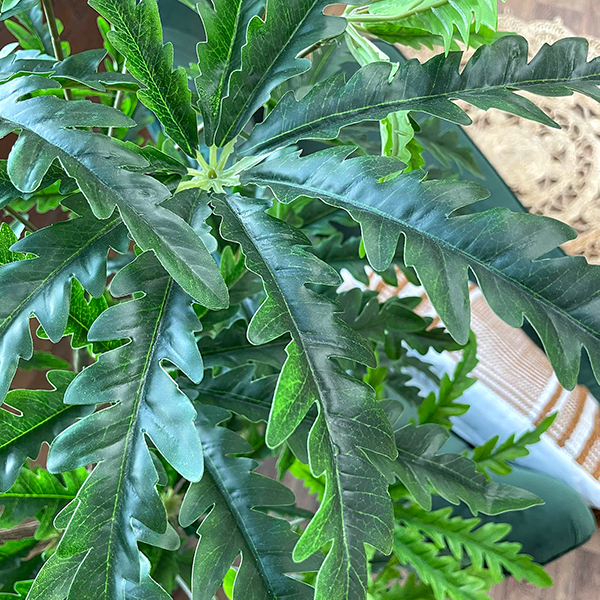 artificial pelandra plant