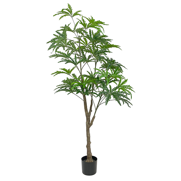 small artificial tree indoor pelandra plant