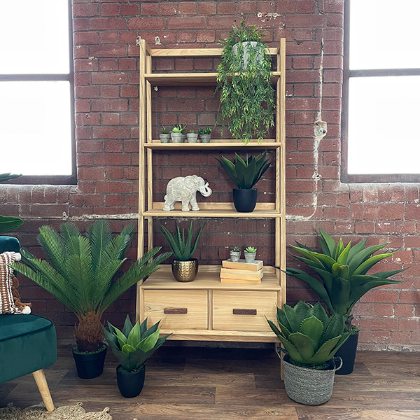 grouped artificial tropical plants