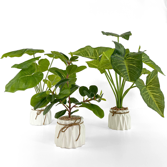 group of ceramic potted artificial plants