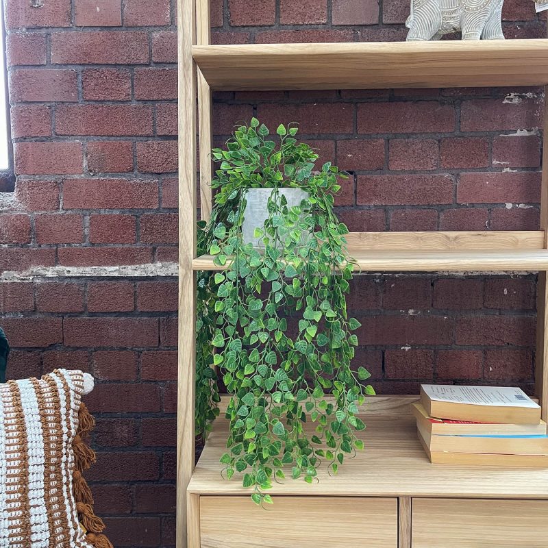 artificial hanging ivy plant