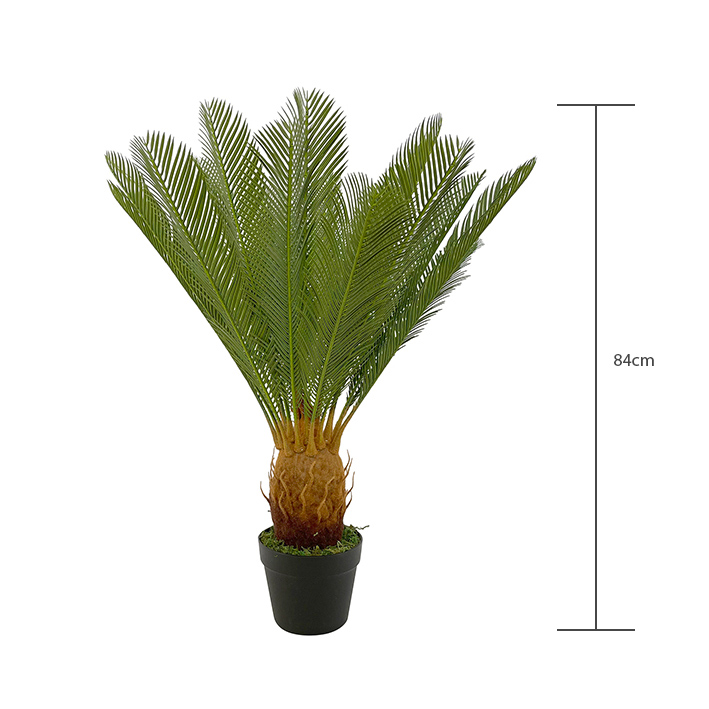 artificial cycas height