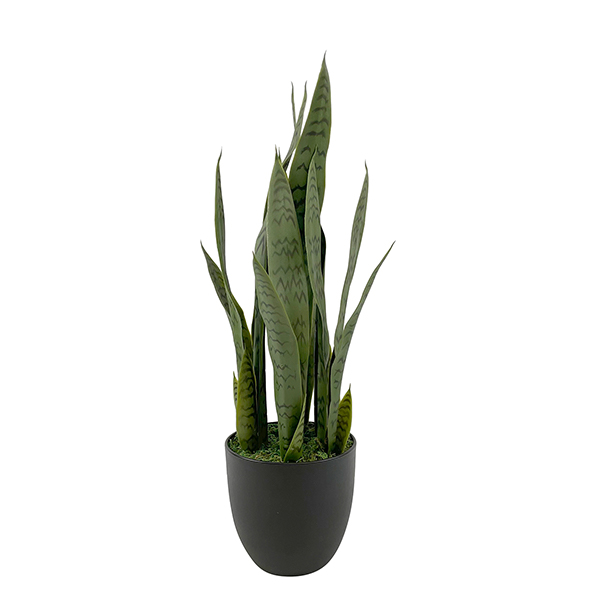small artificial green snake plant