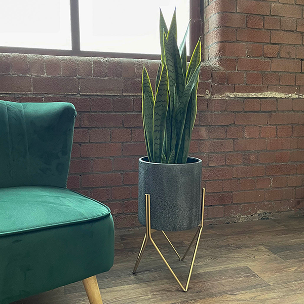 large textured metal indoor plant pot with stand