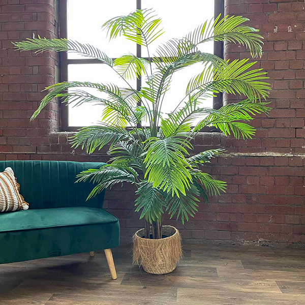 large indoor plant pot made from natural grasses