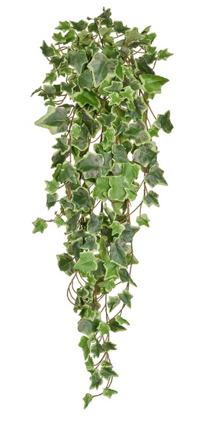 fire retardant hanging ivy