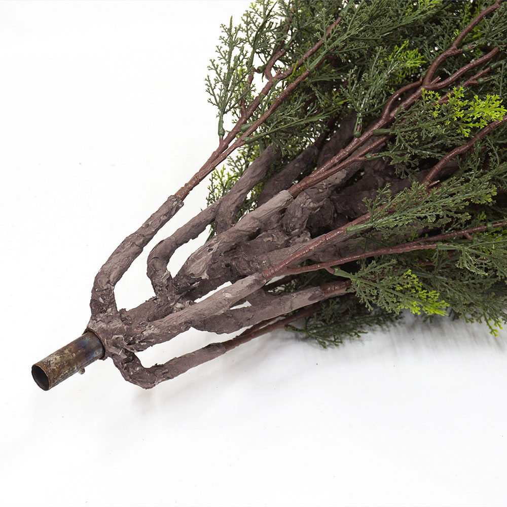 section of the 150 and 200cm high cypress trees