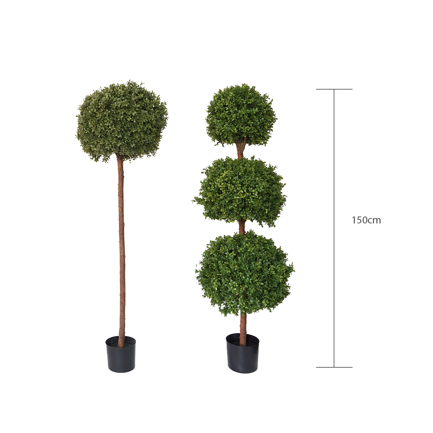 150cm high boxwood balls