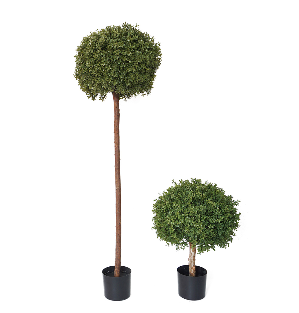 two heights available in the faux boxwood ball trees