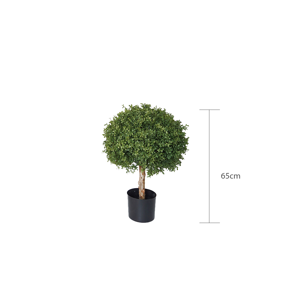 65cm high boxwood balls