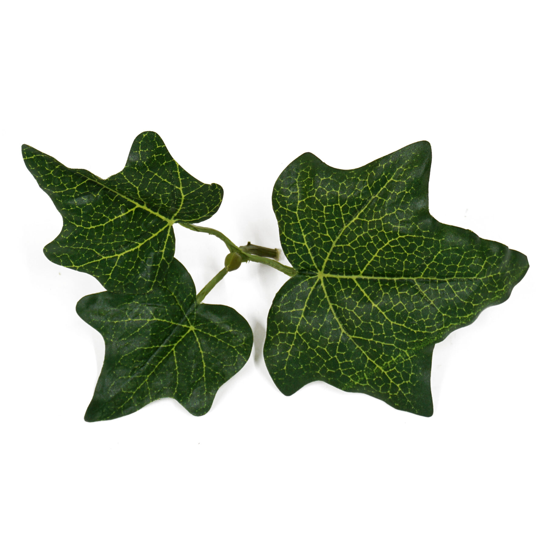 artificial ivy vine leaf close up