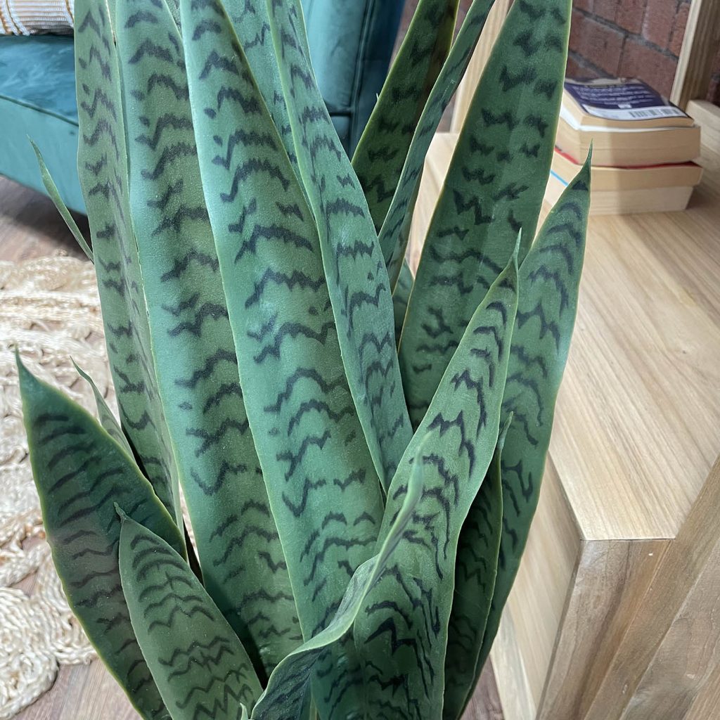 close up of the artificial snake plant foliage
