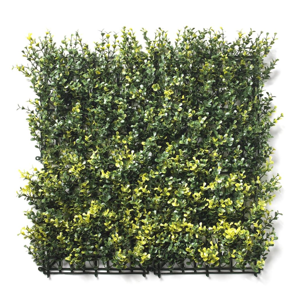 boxwood natural foliage tiles