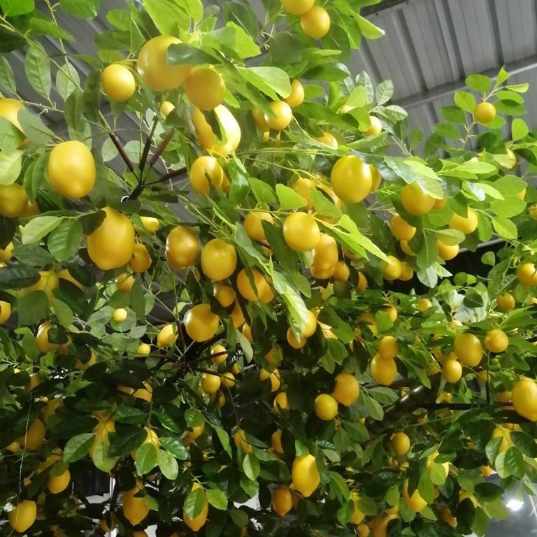 artificial lemon tree bespoke commission